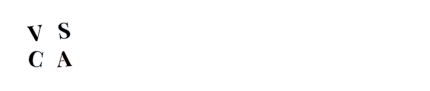 Virginia Sex Crime Attorney  logo